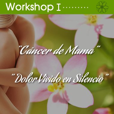 workshop Puerto Varas